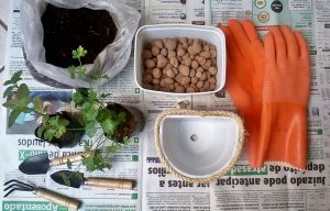 utensílios para plantar como cultivar sua horta