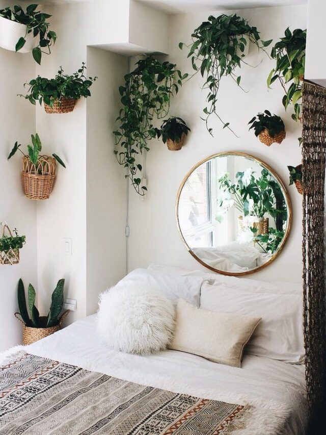 plantas-no-quarto.j