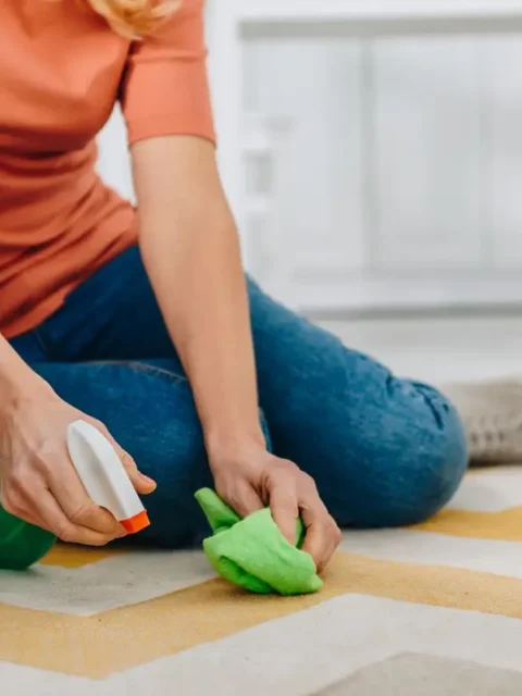 10-produtos-para-limpeza-de-tapetes.